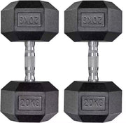 Halterset - Gewichten - Halters - Voor Krachttraining & Thuisfitness - Compacte Stalen Dumbbells van 20 kg - Set van 2