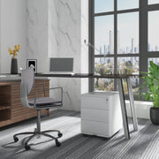 Bolt Edge Luxe Archiefkast - Zwart - Dossierkast met Slot - Bureaukast - 39x52.4x54 cm