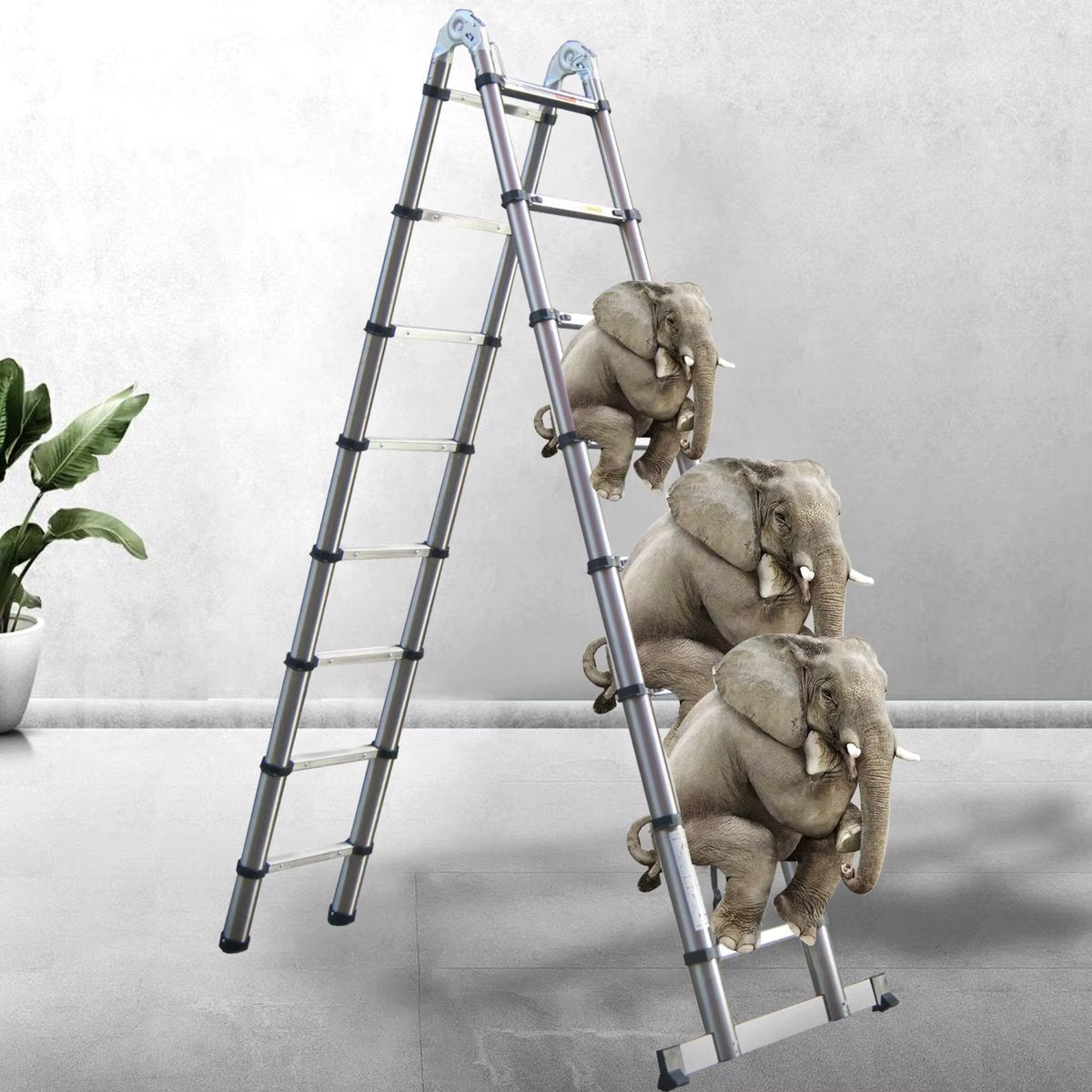 Telescopische Vouwladder Zyrell - 5M - A-Frame & Rechte Ladder - Roestvrijstaal - 2-in-1 Verlengladder - 150kg Draagvermogen