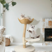 Moderne krabpaal - Voor katten - Tower met speelbal en zacht Kussen - Massief Hout