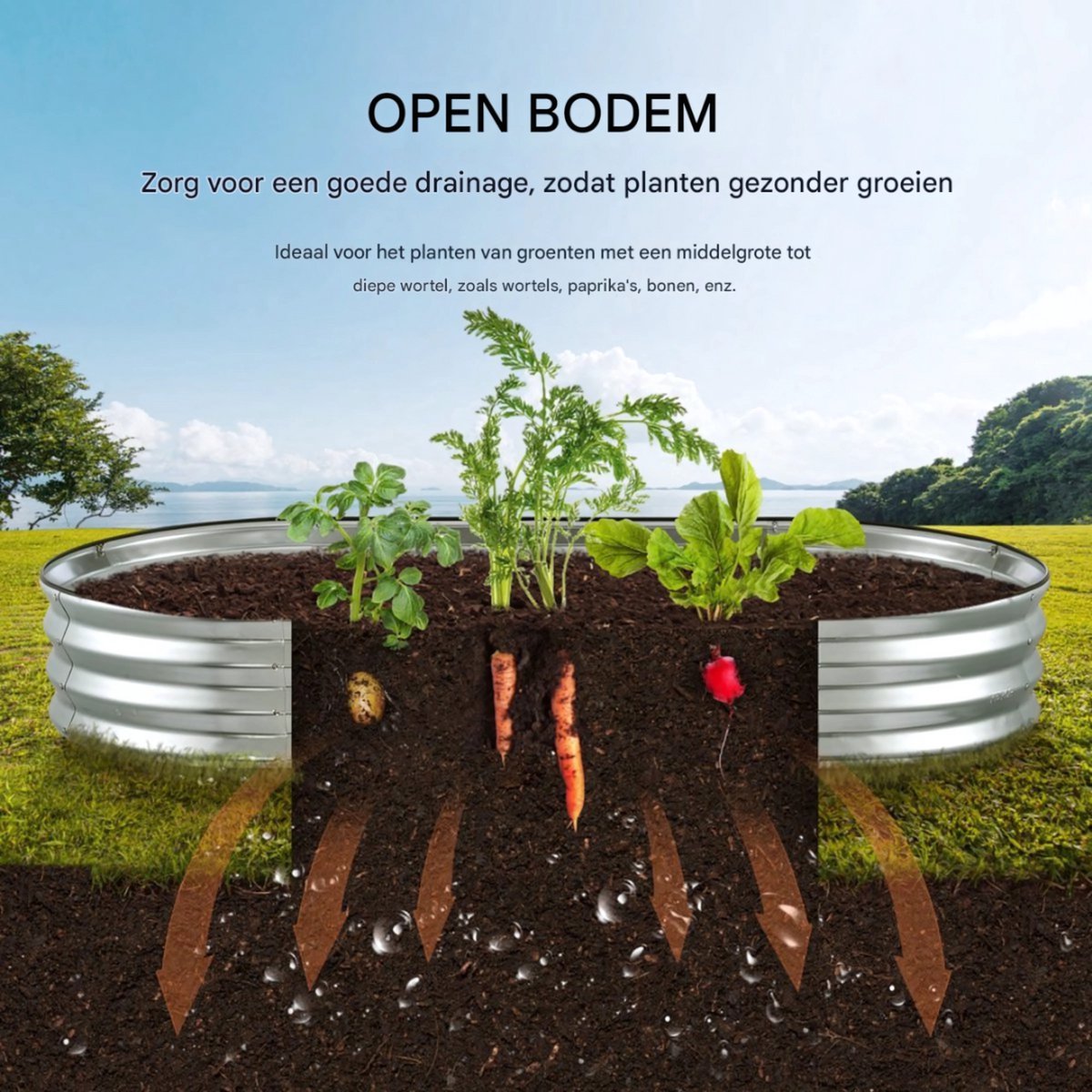 Verhoogde plantenbak - Voor buiten - RVS bloembak zilver - Rechtighoekig ovaal - 180cm - Moestuin - Inclusief Accessoires
