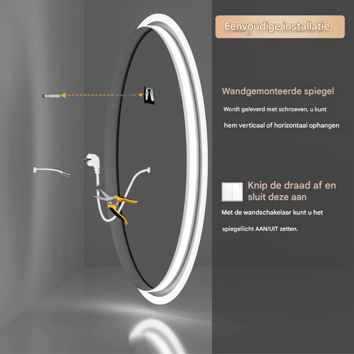 Ovale Wandspiegel Vaylen - Zilver - Spiegel - Met verlichting - Badkamer - 80x60cm