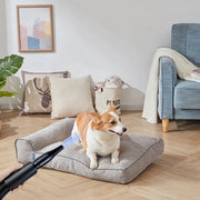 Hondenfohn 2800W - Waterblazer voor Honden - Met Geluidsdemper - Geschikt Voor Alle Hondenrassen