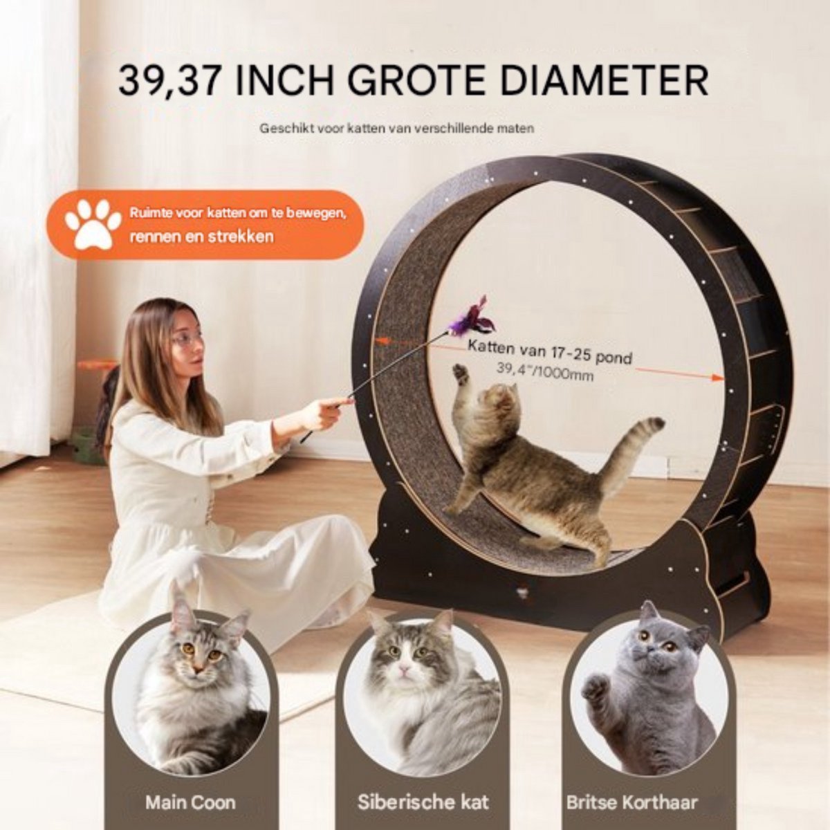 Kattenloopwiel - Katenwiel - 1100x345x1170 mm - Stil Loopwiel - Binnengebruik