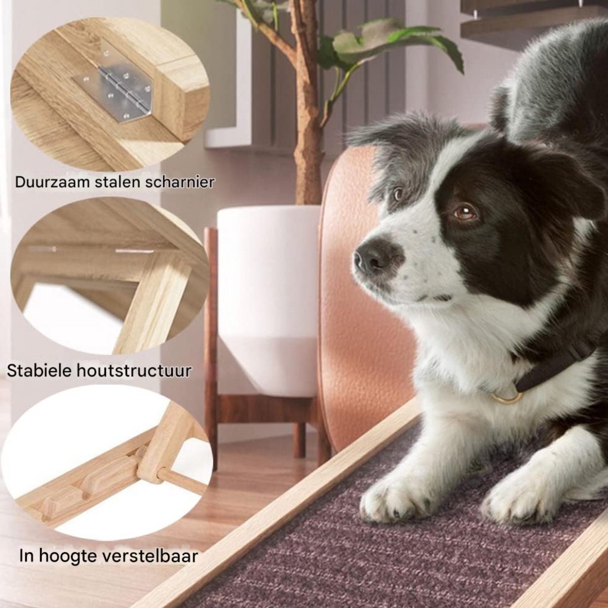 Massief Houten Hondenladder Tavien - 4-in-1 Verstelbaar - Antislip Tapijt - Veiligheidsladder voor Huisdieren