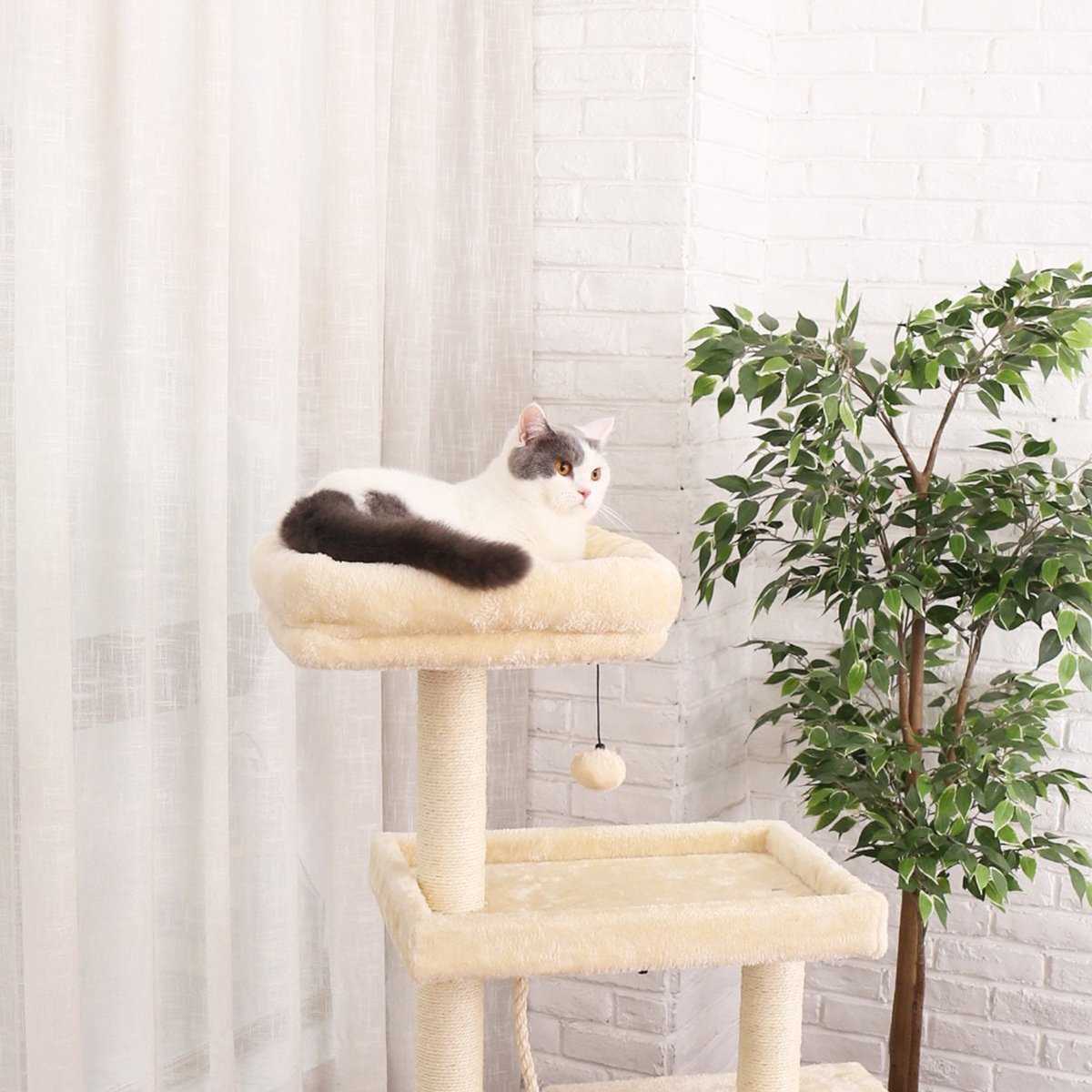 Happyment® Luxe Krabpaal voor Katten - Creme - Zachte Kattenmand hangmat - Kattenspeelgoed - Geschikt voor kleine kittens - 127 CM