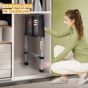 Telescopische Ladder Tavien 3,2M - Multifunctioneel - Roestvrijstalen Uitschuifbare Ladder - Stevig en Draagbaar - EN131