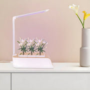 Hydrocultuur planten - Stekstation - Kweeksysteem - Voor thuis en keukenvensterbank - Wit