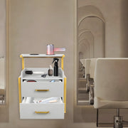 Wandkast - Hangkast - Muurkast - Opbergmeubel - Voor kapsalon - Opbergkast met wandmontage -Goud/Grijs