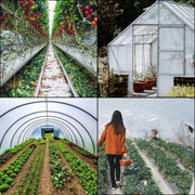 Broeikasfolie PRO - Tunnelfolie - Kasfolie - Folie - 32x25 ft - UV-Bestendig Polyethyleen - Tuinfolie Voor Tomaten