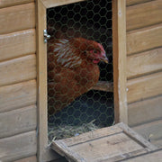 Draadgaas Tuinhek - 25M x 100CM - PVC-Coating - Sterk & Duurzaam - Voor Omheiningen & Tuinbescherming