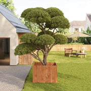 Tuin Gras Gazon Rand - Flexibele Houten Border voor Tuinhek - Tuinafboording voor Outdoor Landschap & Tuindecoratie - 203x60x1.4cm Bruin