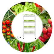 Kweeksysteem - Kweektafel - Voor binnen- of kweekgebruik - Kunststof / Groen