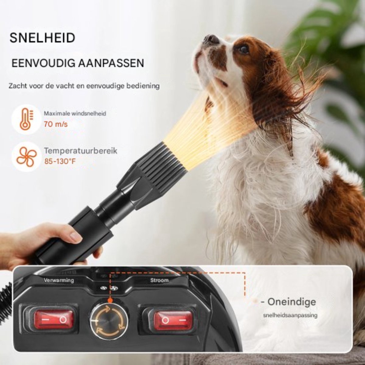 Luxe hondenföhn - 4 Hoofdstukken - 2000W - 2,7 Pk - Instelbare snelheid - Zwart