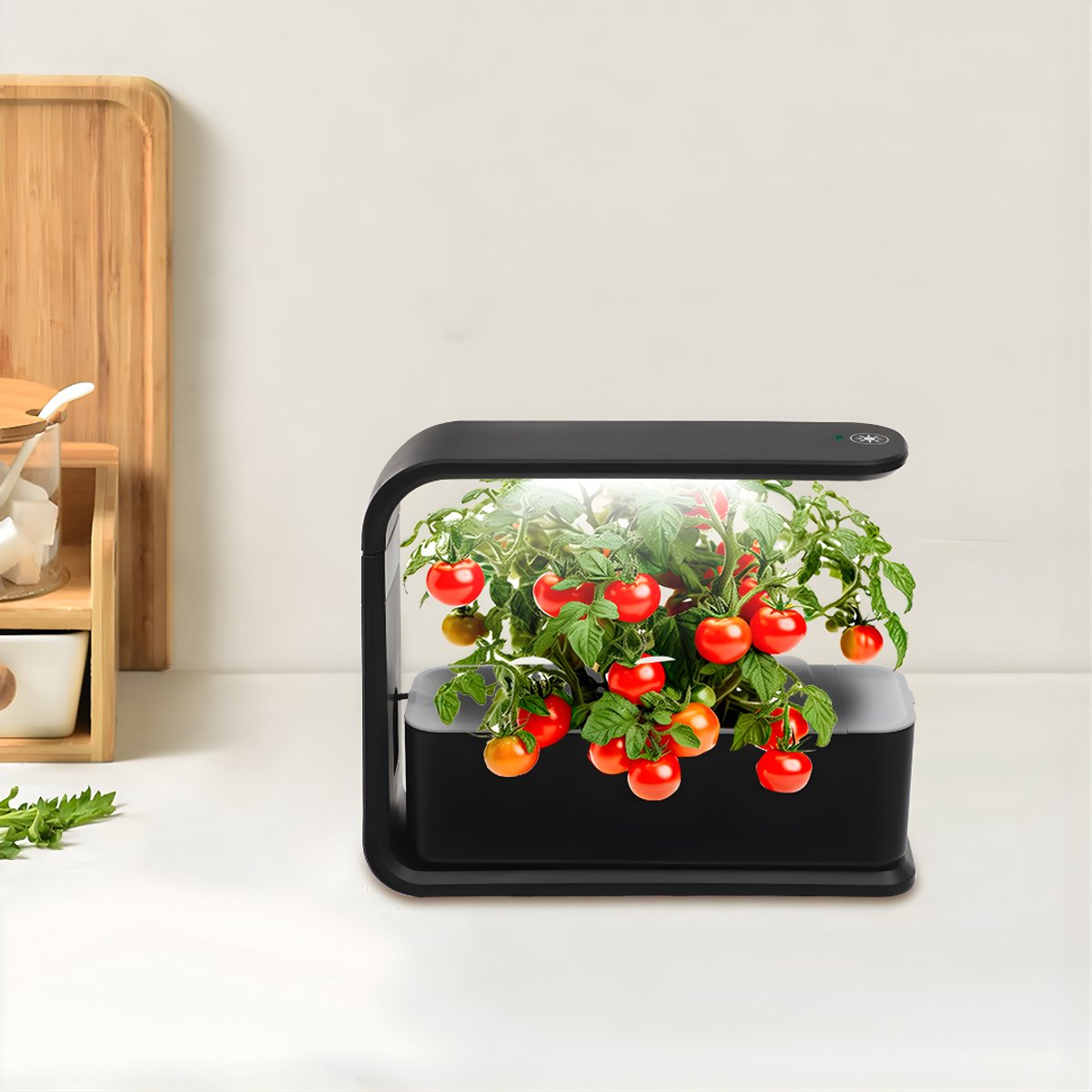 Hydrocultuur planten - Stekstation - Kweeksysteem - Voor thuis en keukenvensterbank - Zwart
