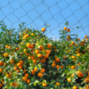 Vogelnet - Anti volgel net - Tuinbeschermingsnet - Voor bescherming van tuin, hek en gewassen - Tegen vogels, herten, katten, honden en kippen - Duurzaam kunststof gaas - 30*15 m
