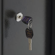 Kluis - Voor thuisgebruik - Veiligheidskast met sleutels - 60L