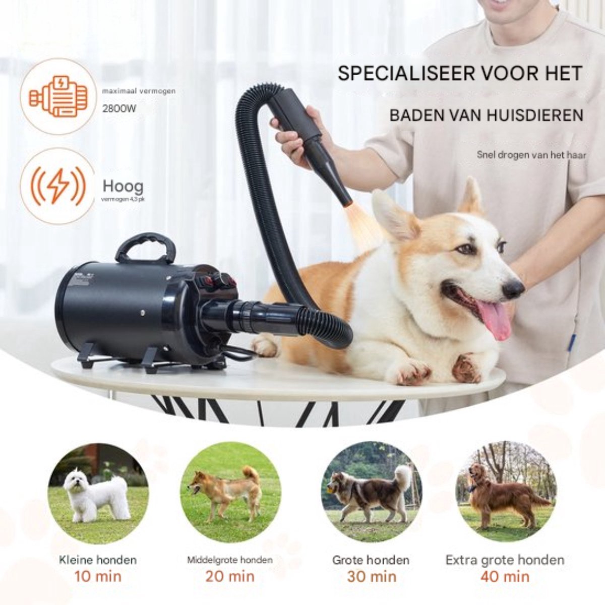 Luxe hondenföhn - 4 Hoofdstukken - 2000W - 2,7 Pk - Instelbare snelheid - Zwart