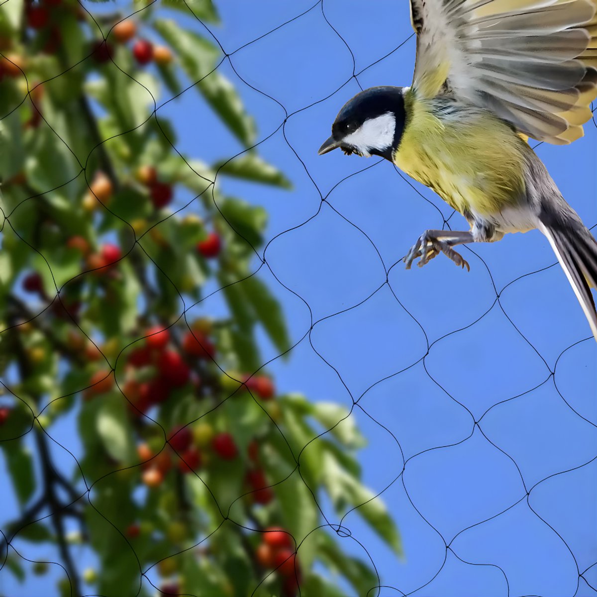 Vogelnet - Anti volgel net - Tuinbeschermingsnet - Voor bescherming van tuin, hek en gewassen - Tegen vogels, herten, katten, honden en kippen - Duurzaam kunststof gaas - 30*15 m