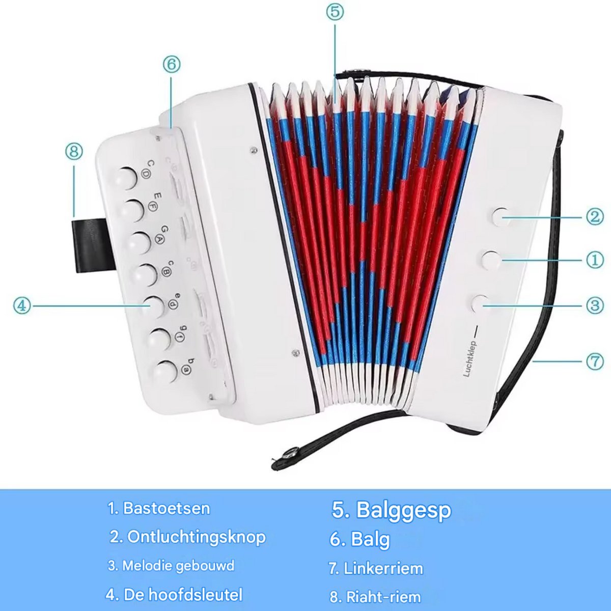 Kinderaccordeon - Speelgoedinstrument - Muziekinstrument voor kinderen - 2-Bass - 7 Noten - Zwart