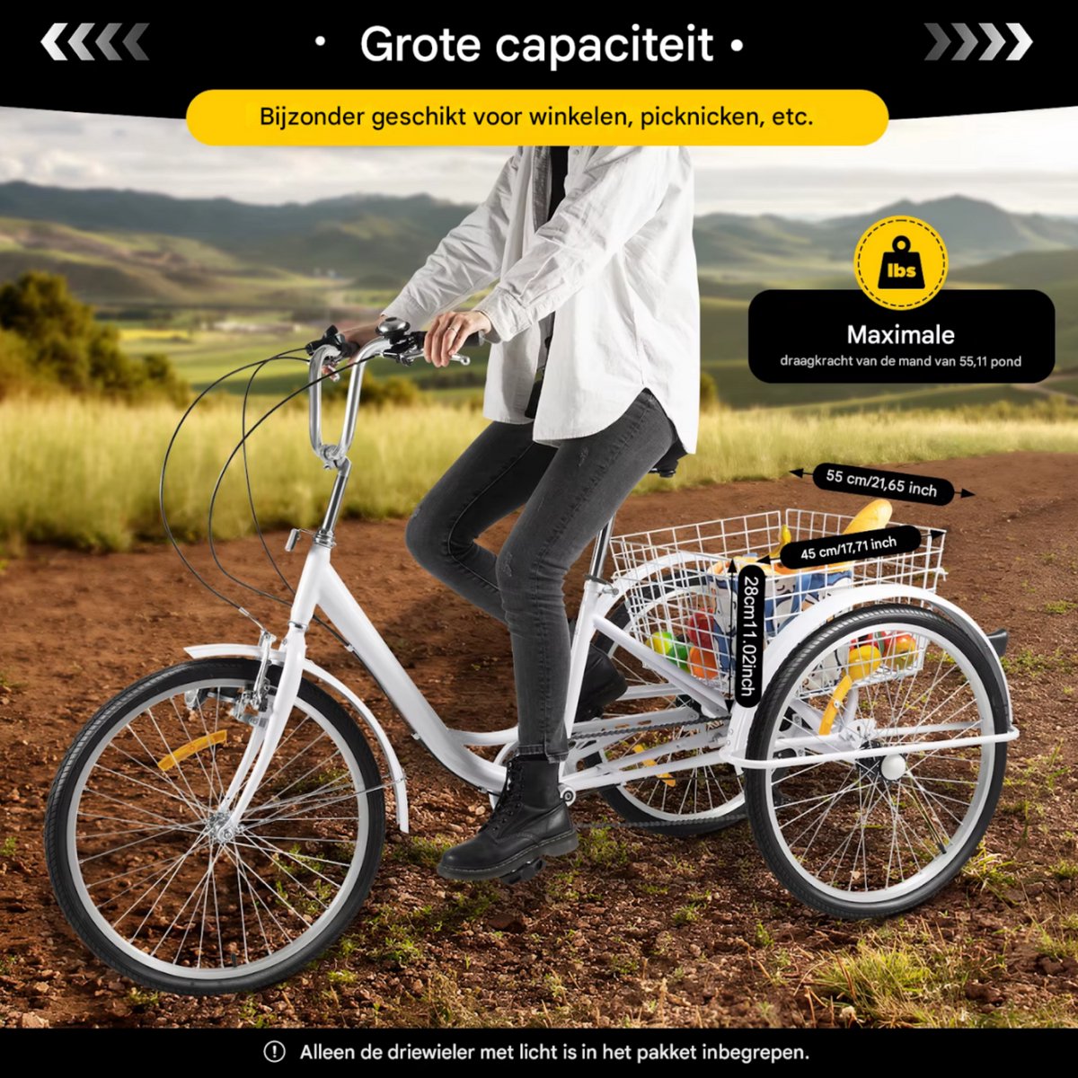 Driewieler Madrid - Fiets voor volwassenen en senioren - 6 versnellingen - 24 Inch - Opvouwbare Trike - Met mand - Voorrem - Zilver