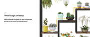 Plantenstandaard met 5 lagen - Plantenrek voor Binnen - 180cm - Plantenladder - Bruin