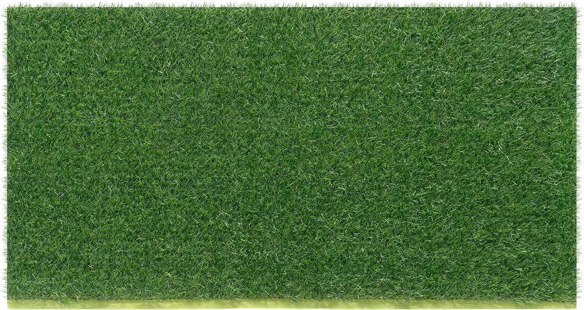 Kunstgrasmat - Voor buiten - 50x100cm - Vloerdecoratie - Tuin