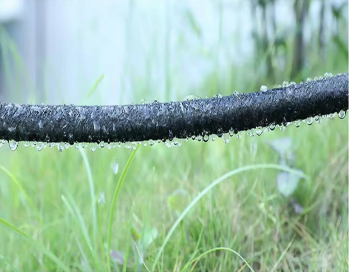 Tuinslang 50m - Waterleiding - Waterverdeler - Rubber - Flexibel - PE groen