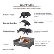 Hondenbank Jerino - Hondensofa op poten - Hondenzetel - Afneembaar kussen - 100cm