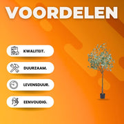 Kunstplant Eucalyptus - Kunstplanten voor binnen en buiten - Palmboom - In pot - Kunstbloemen - Geurloos 80x80x181 cm