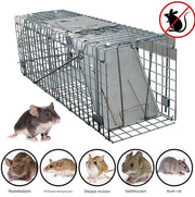 24" Rattenval - Grote Dierenvalkooi voor Zwerfkatten - Humane Rescue - Opvouwbare Catch & Release Dierenval - Binnen & Buiten