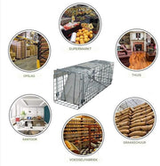 24" Rattenval - Grote Dierenvalkooi voor Zwerfkatten - Humane Rescue - Opvouwbare Catch & Release Dierenval - Binnen & Buiten