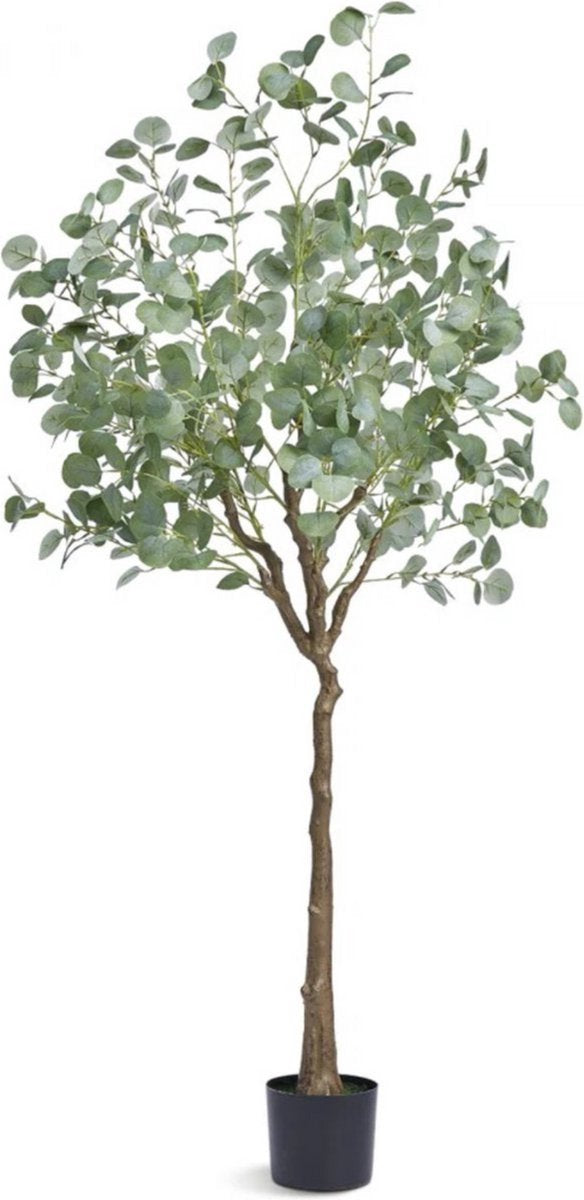 Kunstplant Eucalyptus - Kunstplanten voor binnen en buiten - Palmboom - In pot - Kunstbloemen - Geurloos 80x80x181 cm